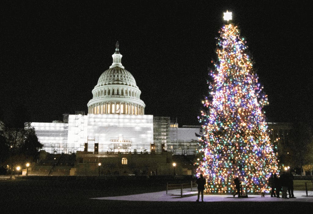 Capital Christmas Tree in front of Capital building.