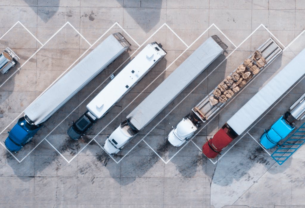 Truck driver examining shipping documents and load details
