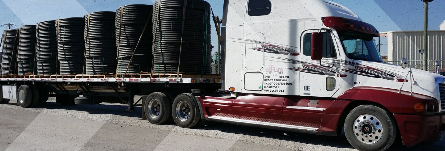 Professional truck driver portrait