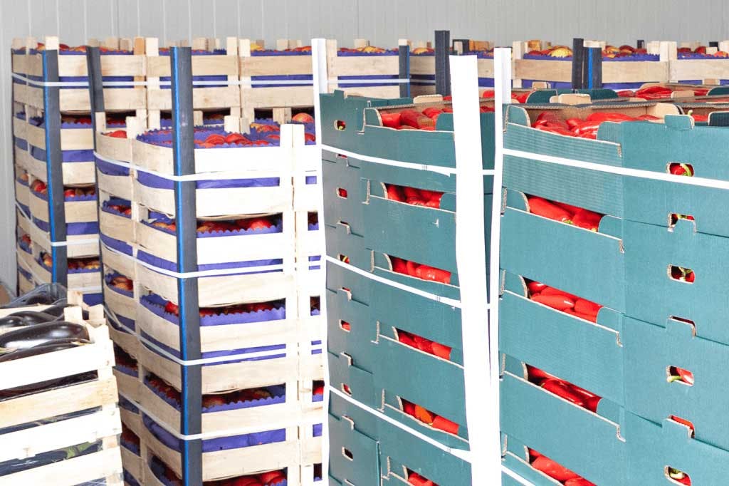 Food industry produce cases stacked in pallets for temperature-controlled shipping