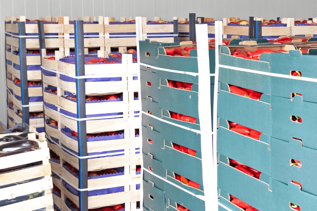 Food industry produce cases stacked in pallets for temperature-controlled shipping